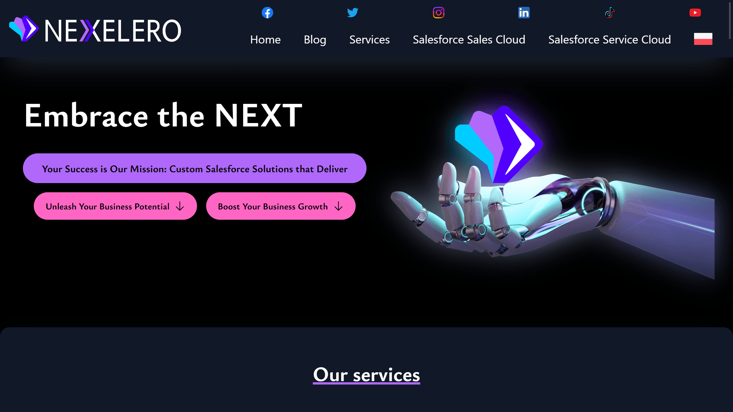 Screenshoot of Nexelero main page
